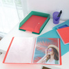 ALBUM OFERTOWY A4 ESSELTE COLOUR'BREEZE 628446 LAWENDOWY PLASTIK 80 KOSZULEK